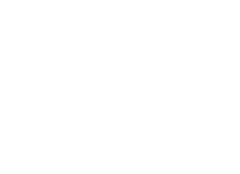 1st Phorm logo